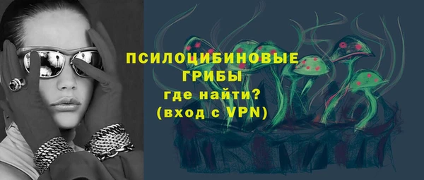 PSILOCYBIN Арсеньев