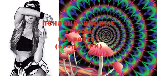 PSILOCYBIN Арсеньев