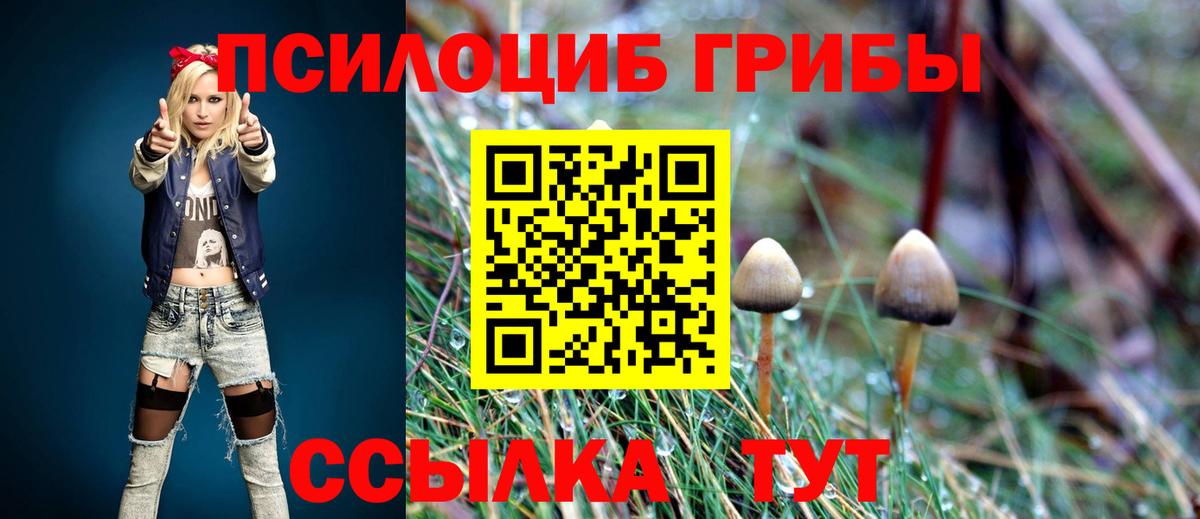 Псилоцибиновые грибы GOLDEN TEACHER Находка