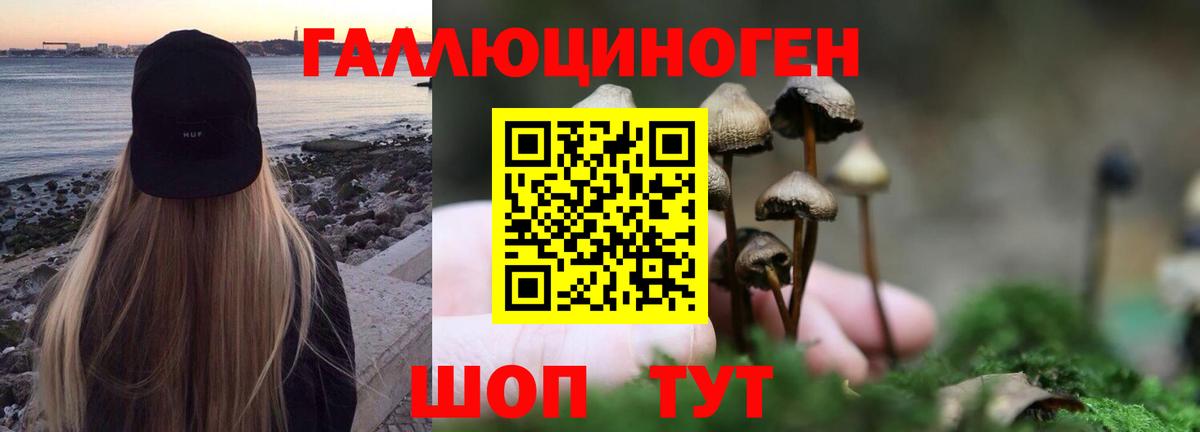 Псилоцибиновые грибы Magic Shrooms  Вход с VPN  Находка 